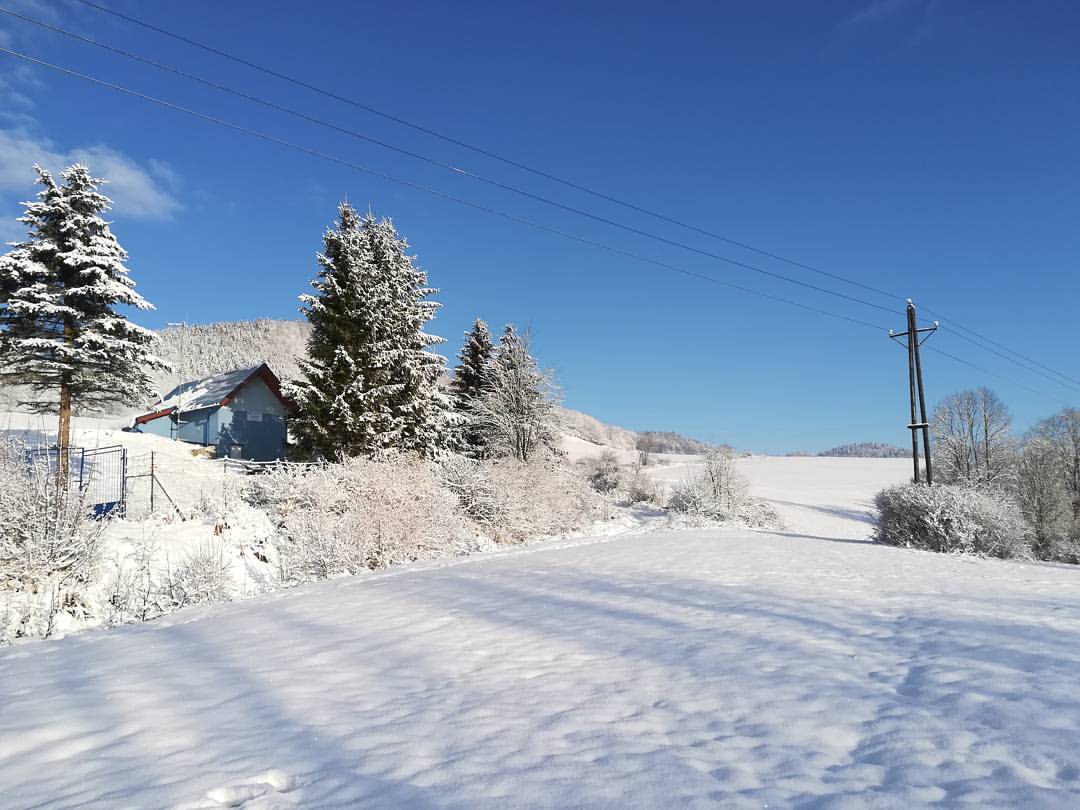 25025893_710062459197367_4625596511261032448_n