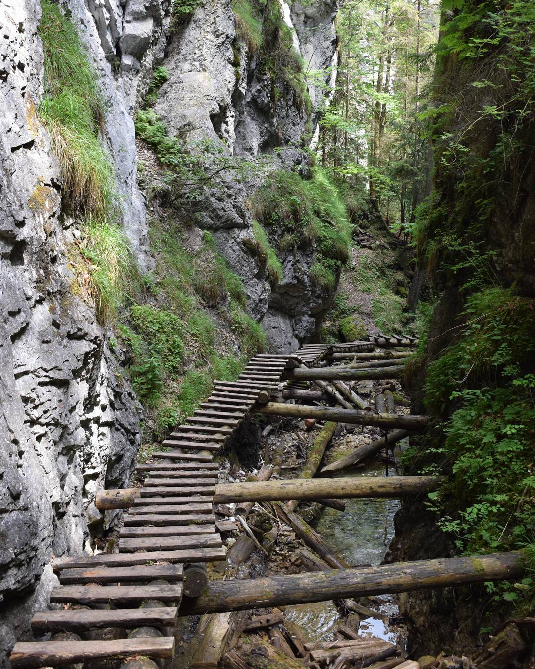 26284040_565654120456108_5527771868007759872_n