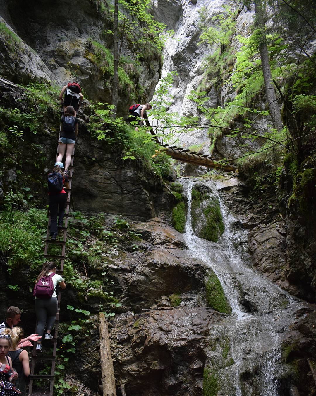 26868733_162592027693973_6043791864836915200_n